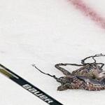 A Red Wings fan threw an octopus on the ice in the third period.